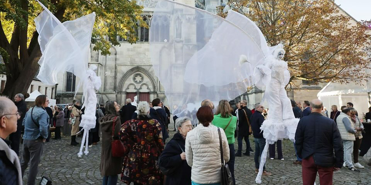 Echassiers blancs pour l'inauguration du MAM de Troyes (10)